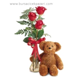 Ayıcıklı vazoda güller