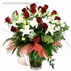 Cam vazoda gül ekvador