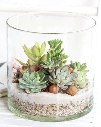 Silindir vazoda teraryum